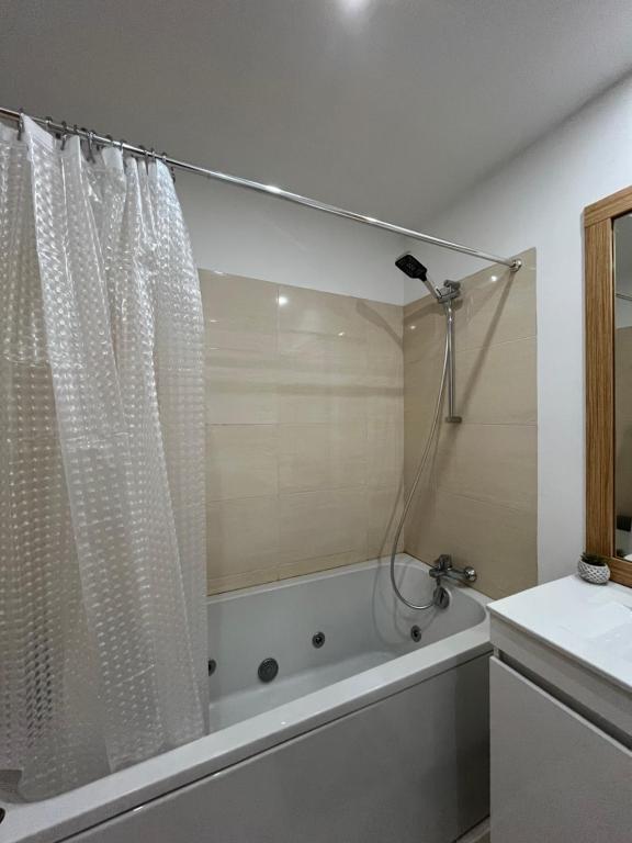 een badkamer met een douche, een bad en een wastafel bij Alojamento Local Pando in Aveleda