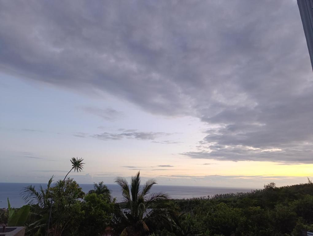 Naturlandskabet i nærheden af lejligheden
