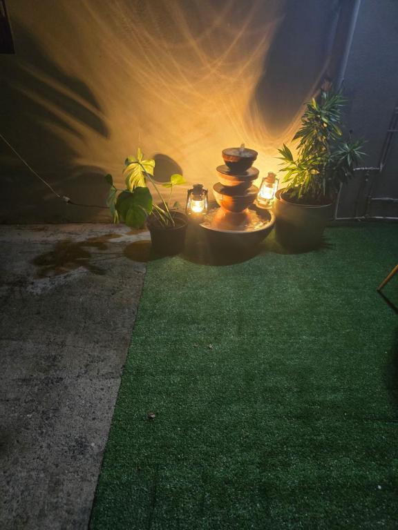 een tuin met planten en een fontein met verlichting bij ptit coin hibiscus in Pointe-Noire