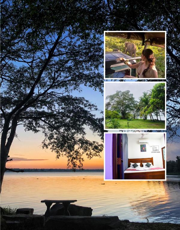 a collage of photos with a tree and a lake at Yala Lucas Lake Hotel in Tissamaharama