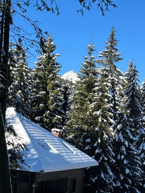 Příroda nedaleko apartmánu