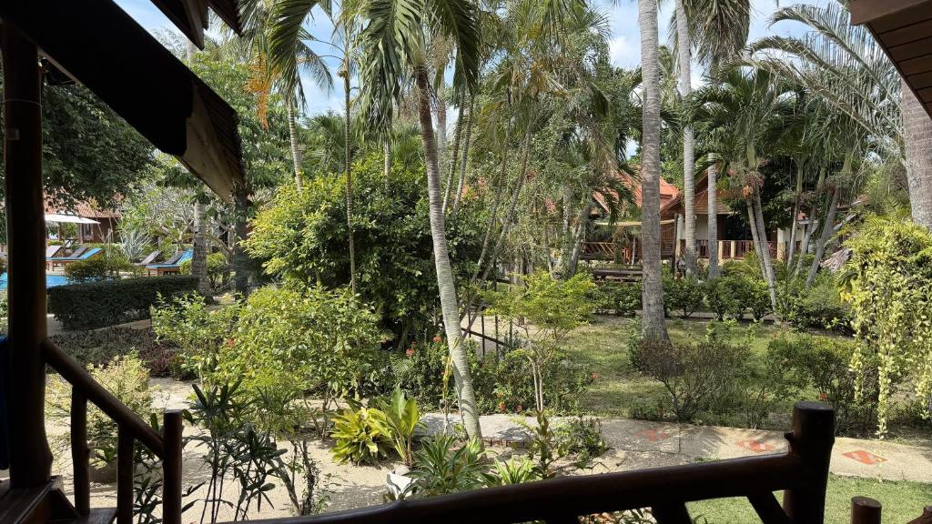 Morning Star Resort - 14