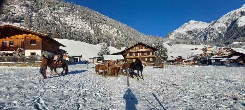 un gruppo di cavalli che trainano una carrozza trainata da cavalli nella neve di Obenfigerhof a Kals am Grossglockner