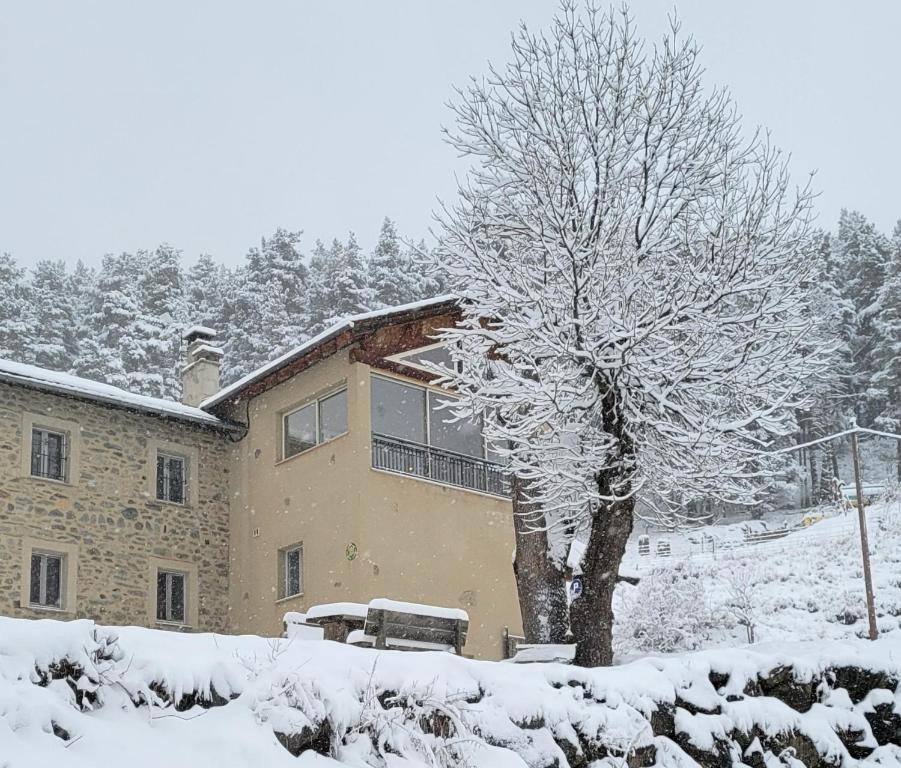 Le Calmadou om vinteren