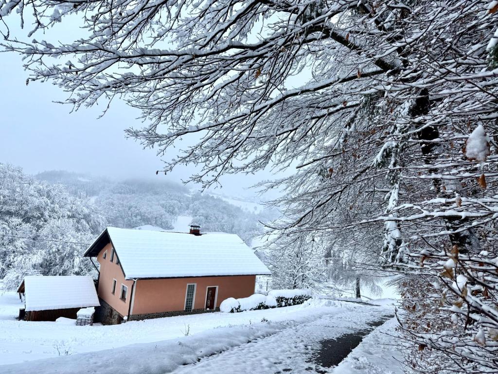 une maison recouverte de neige à côté d'une route dans l'établissement ART Nature Retreat, à Gorica pri Slivnici