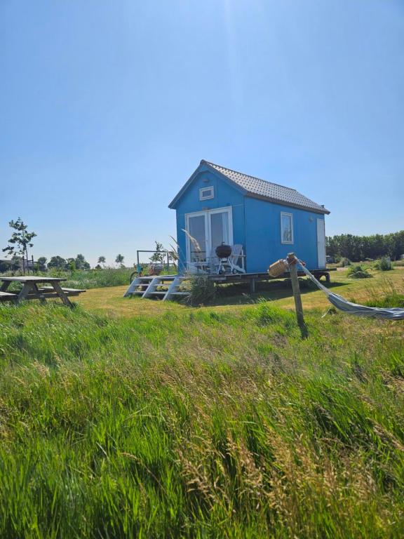 Naturlandskabet i nærheden af lejligheden