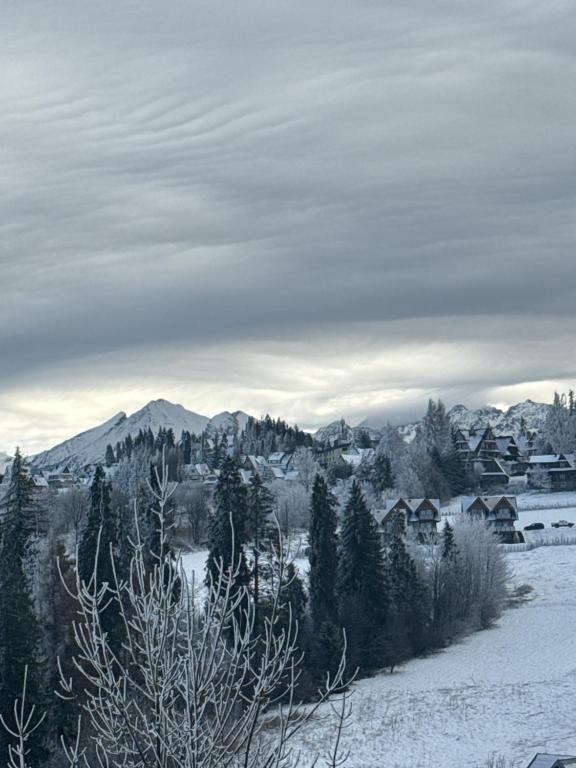 Naturlandskabet i nærheden af lejligheden