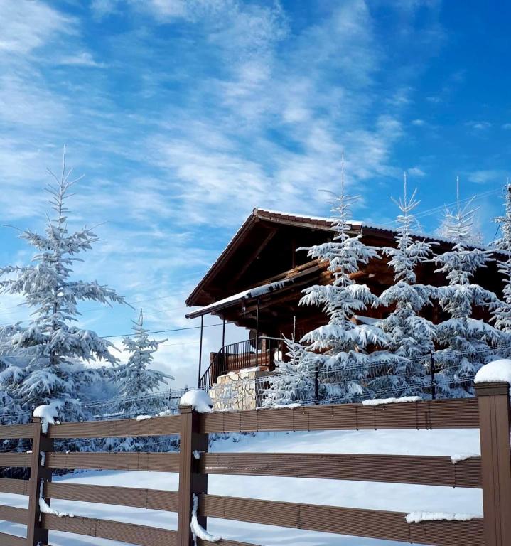 una cabina nella neve con alberi innevati di Sunset Chalet a Ciocanu