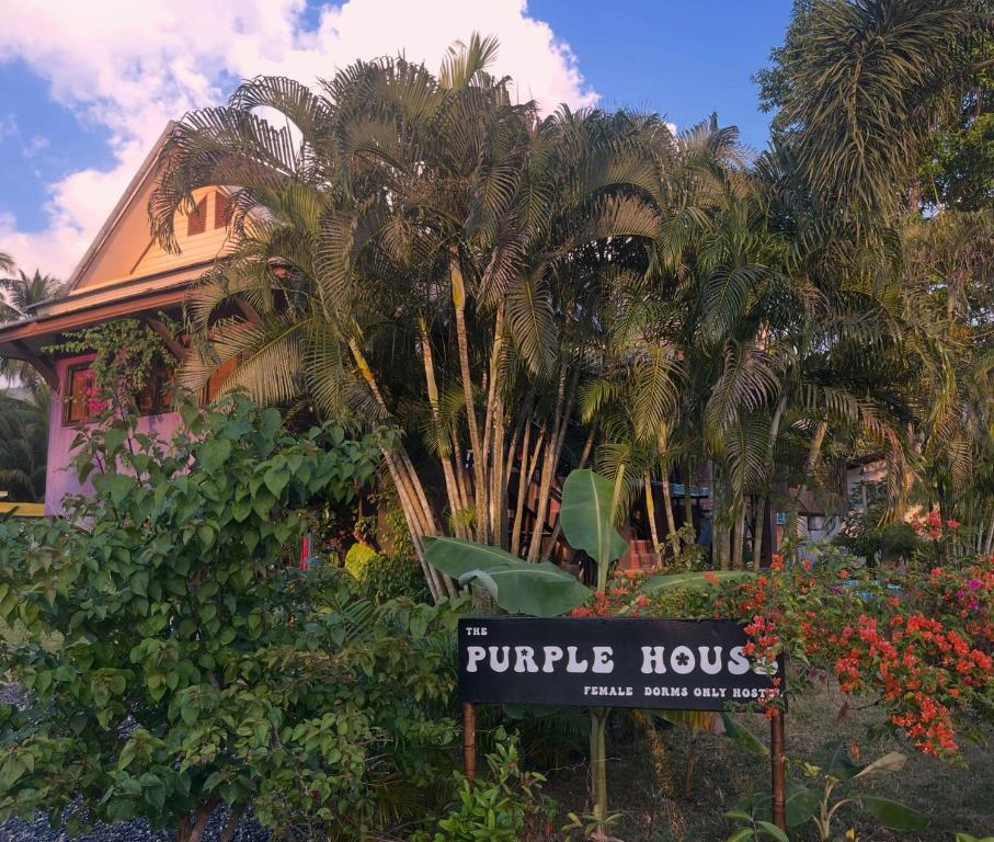 Zahrada ubytování Purple House - Female only Boutique hostel