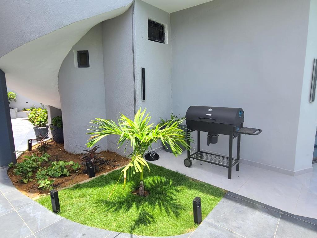 een kleine binnenplaats met een barbecue en een palmboom bij Villa Amani in Somone