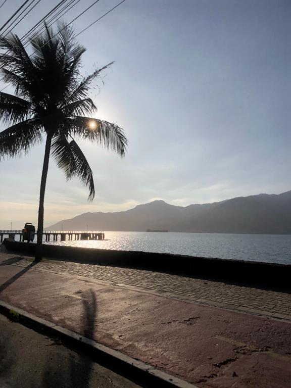 een palmboom die naast een strand met de oceaan ligt bij Bbzao motor home in São Sebastião