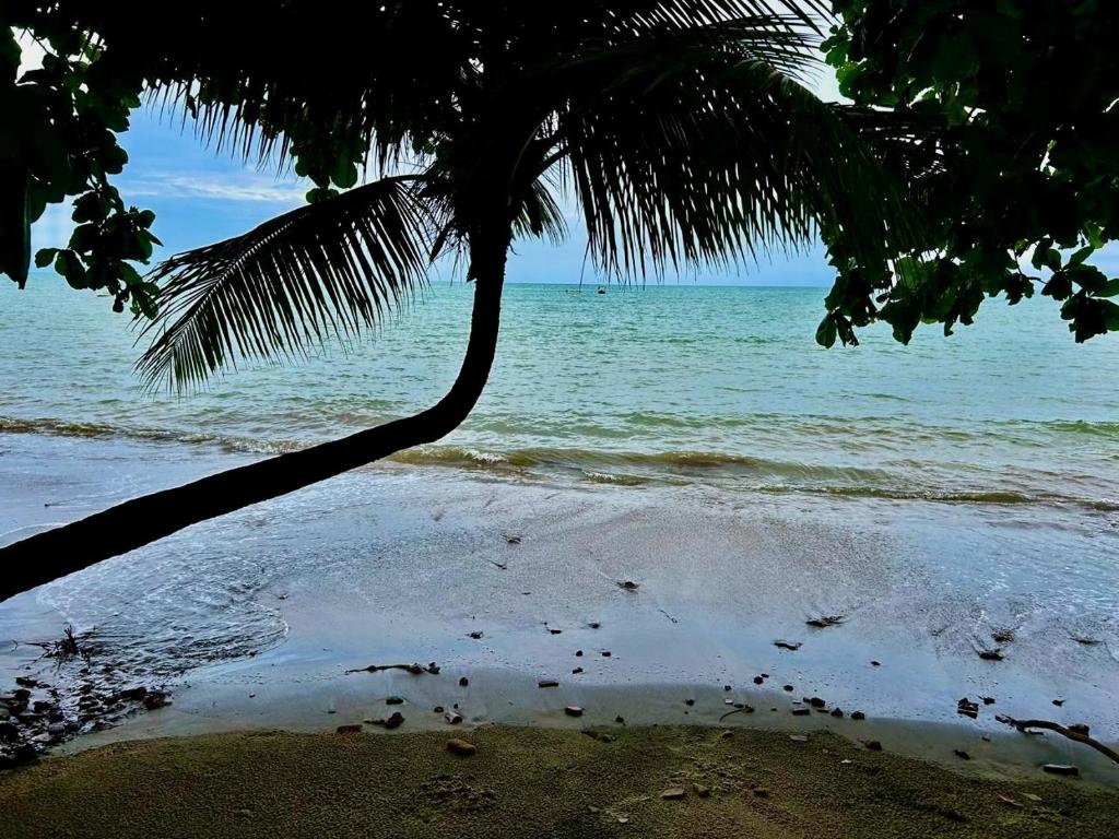 Naturlandskabet i nærheden af lodgen
