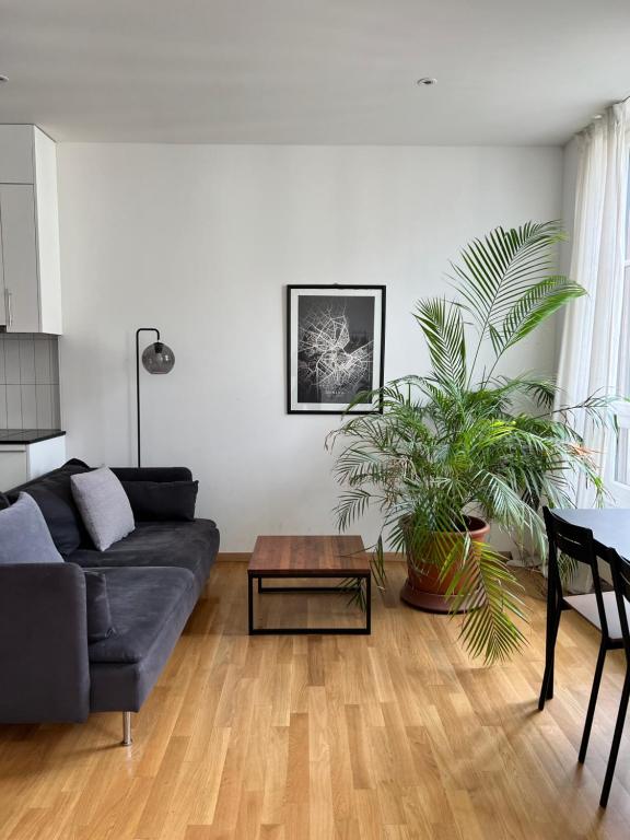 ein Wohnzimmer mit Sofa und Tisch in der Unterkunft Luxury Apartment in Central Geneva in Genf