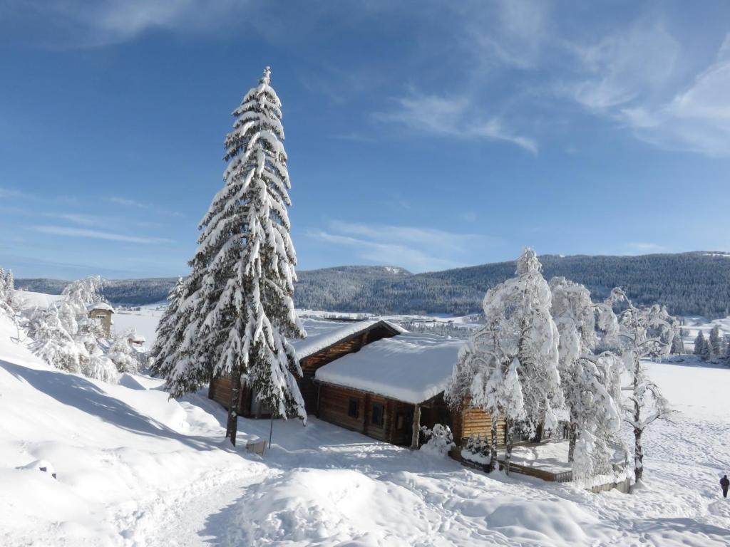 eine Hütte im Schnee mit schneebedeckten Bäumen in der Unterkunft Studio reposant à la montagne in Les Rousses