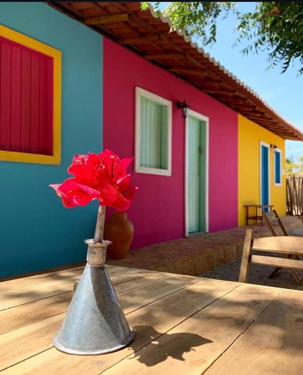 een vaas met een bloem voor een huis bij Vila Borogodó BG in Barra Grande