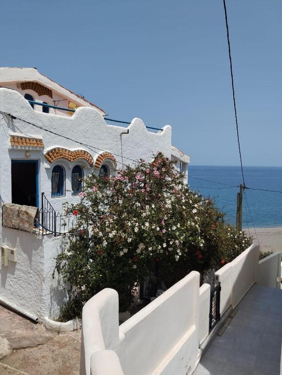 een wit huis met een bloeiende struik ervoor bij Paradise Of Aouchtame in Aouchtame