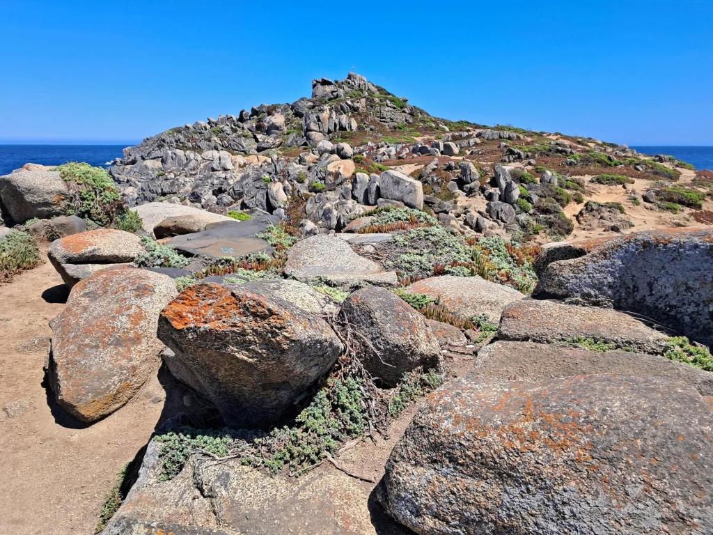 Příroda nedaleko apartmánu