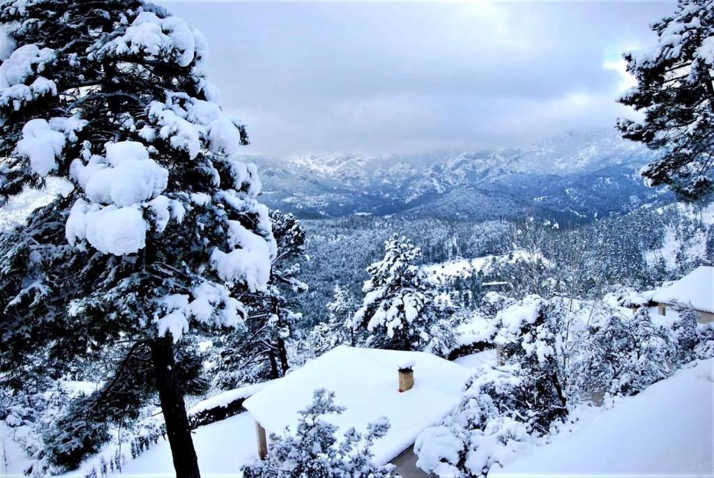 einen schneebedeckten Baum mit Bergblick in der Unterkunft Casas Rurales Mirador del Mundo in Yeste