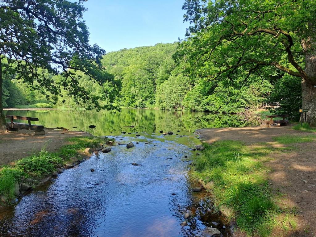 ein Wasserlauf mit Bäumen und einem Wald in der Unterkunft Gustavsbo in Ljungbyhed