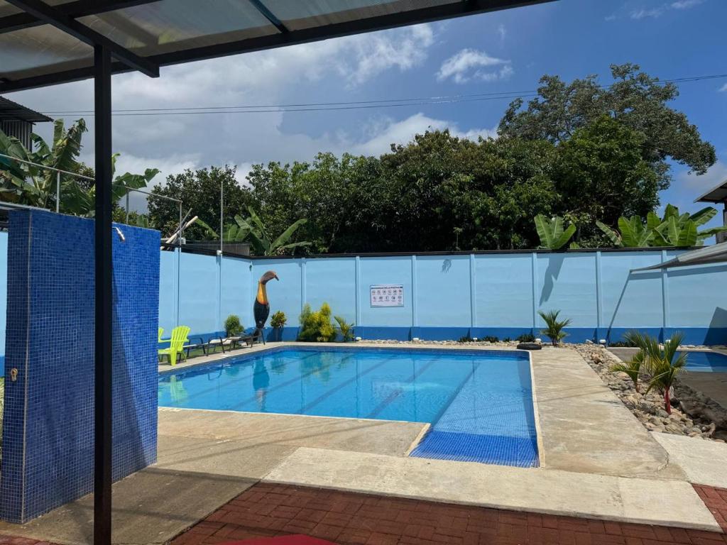 Swimmingpoolen hos eller tæt på Apartamento una habitación