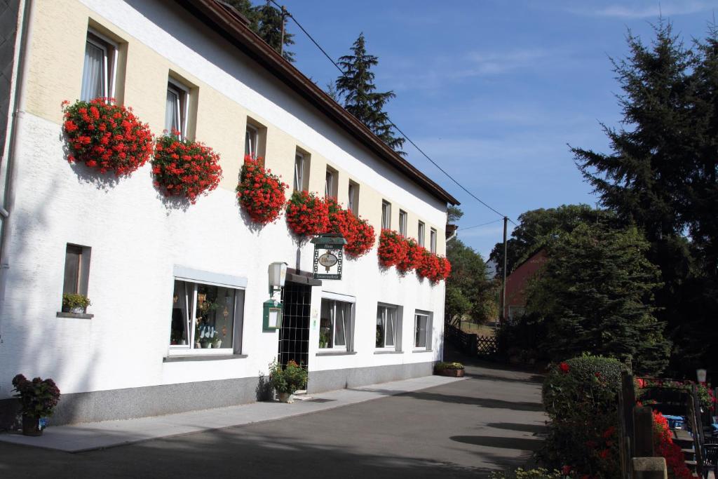 um edifício com flores vermelhas ao lado em Haus Sonnenschein em Üdersdorf