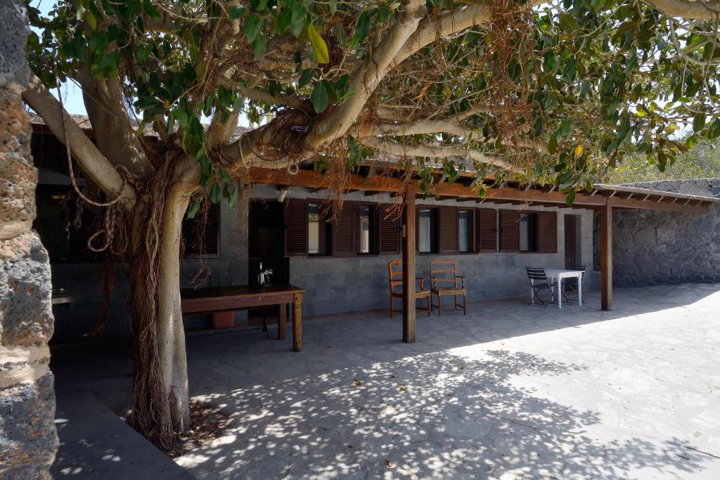 a house with a table and chairs under a tree at Apartment Peace Lovers Vegueta By PVL in La Vegueta