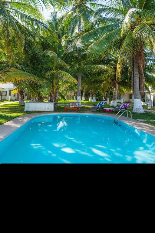 a large blue swimming pool with palm trees in the background at Comfortable and quiet with a pool in Barrio Nuevo