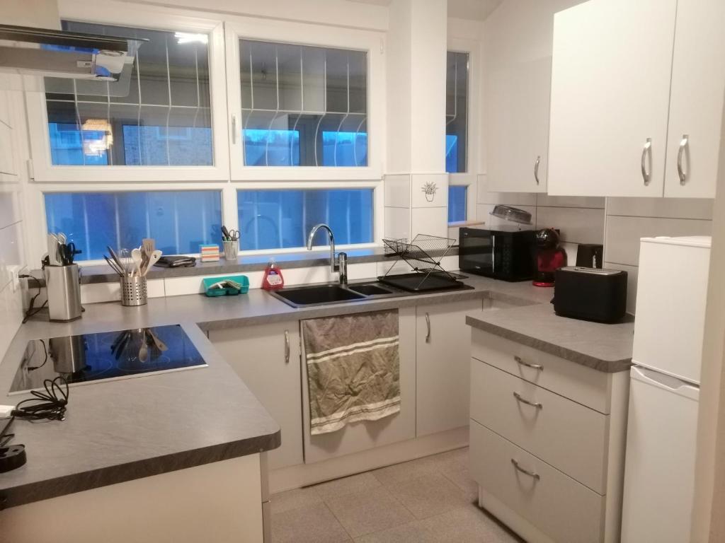 Kuchyň nebo kuchyňský kout v ubytování Appartement Lumineux