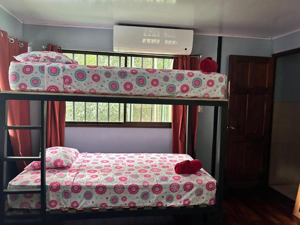 two bunk beds in a room with a window at Hospedaje el Argentico in Tapantí