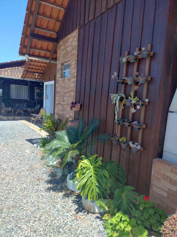 een tuin met planten aan de zijkant van een gebouw bij Pousada do vô Bi 02 in São Francisco do Sul