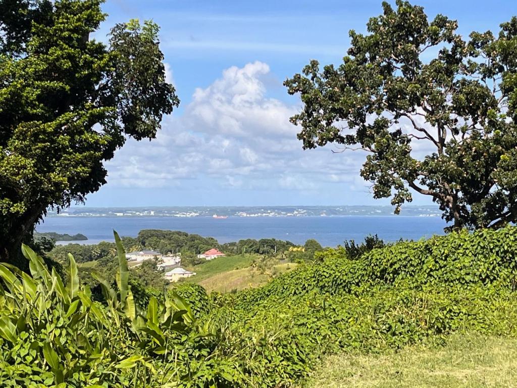 a view of the ocean from a hill with trees at Maison dans la Forêt avec vue mer accès rivière in Goyave