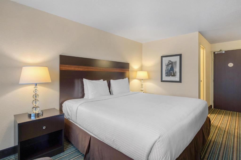 Best Western Alderwood - Habitación Con Cama Extragrande - No Fumadores