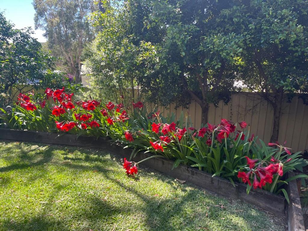 Afbeelding uit fotogalerij van Colourful & quirky home in Snake Island