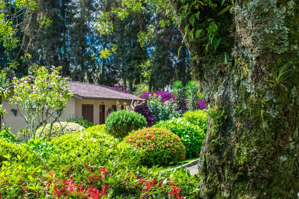 Hotel Fioreze Quero Quero  Hotel Fioreze Quero Quero