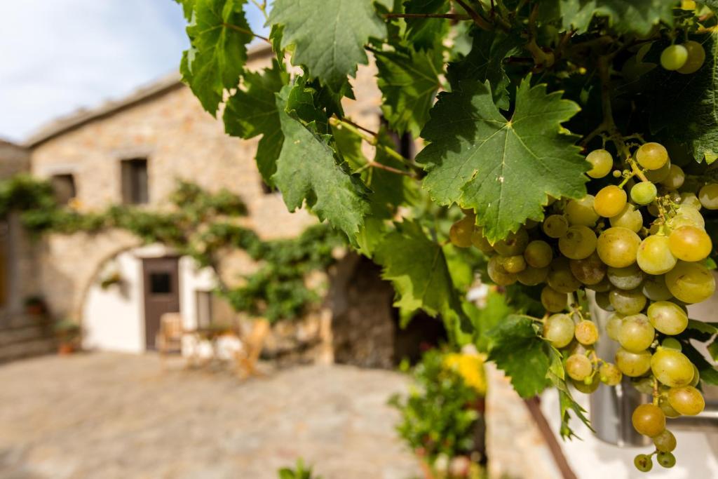 Fotografie z fotogalerie ubytování Casa Mauri v destinaci Tremp