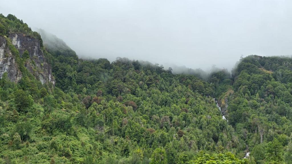 Naturlandskabet i nærheden af lejligheden