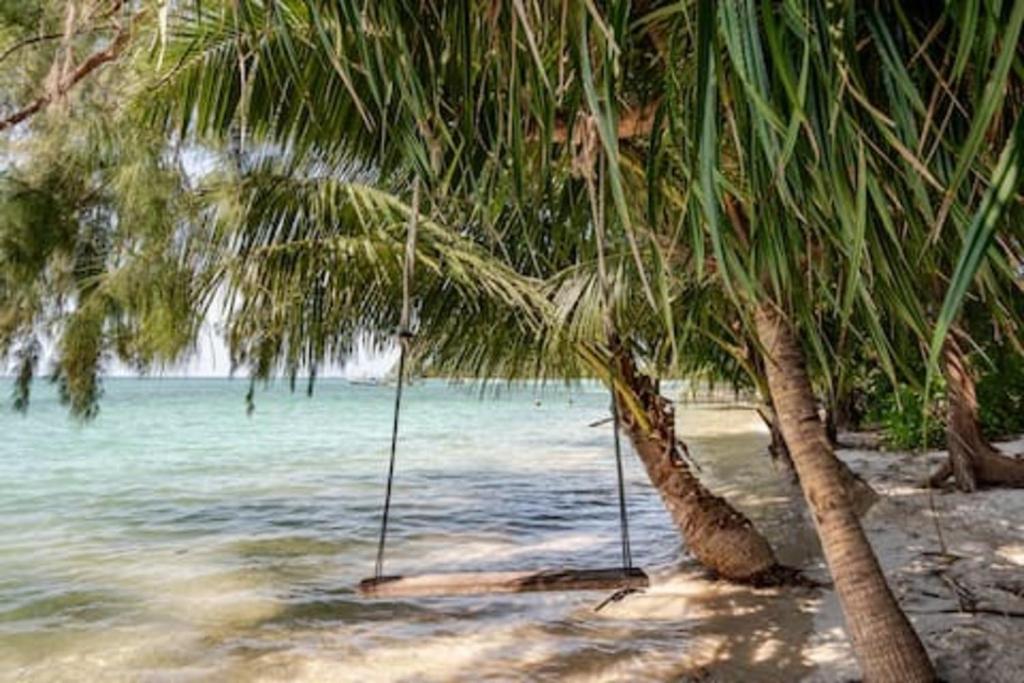 deux palmiers se dressent sur une plage avec de l'eau dans l'établissement Green Heaven Bungalows, à Nathon Bay