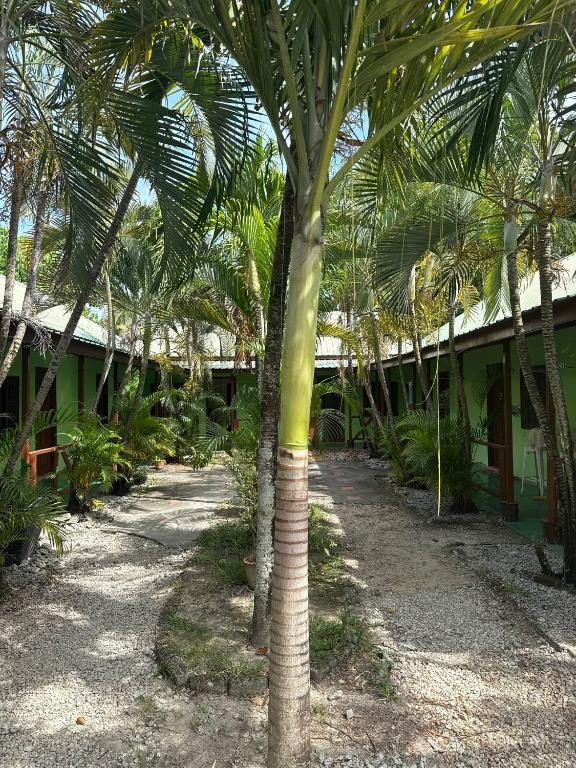 Afbeelding uit fotogalerij van LivBumi Oasis in Pantai Cenang