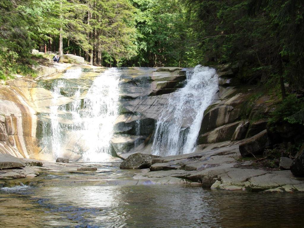 Apartment Nedrik - 10