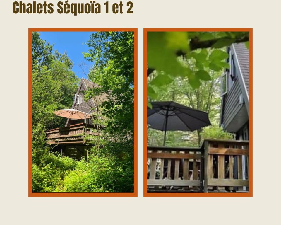 Billede fra billedgalleriet på Sequoia Duo 2 chalets voisins, familles,amis,détente i Durbuy
