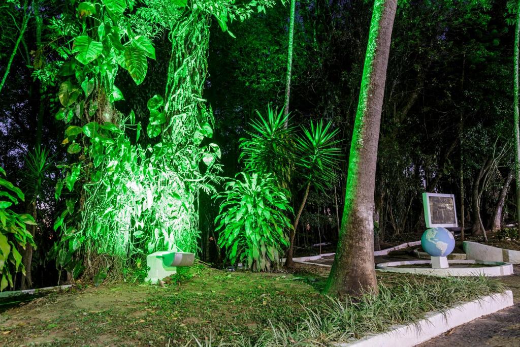  Grand Resort Serra Negra