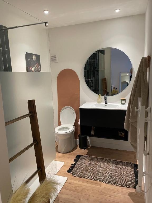 une salle de bains avec lavabo, toilettes et miroir dans l'établissement Chambre privative, à Auch