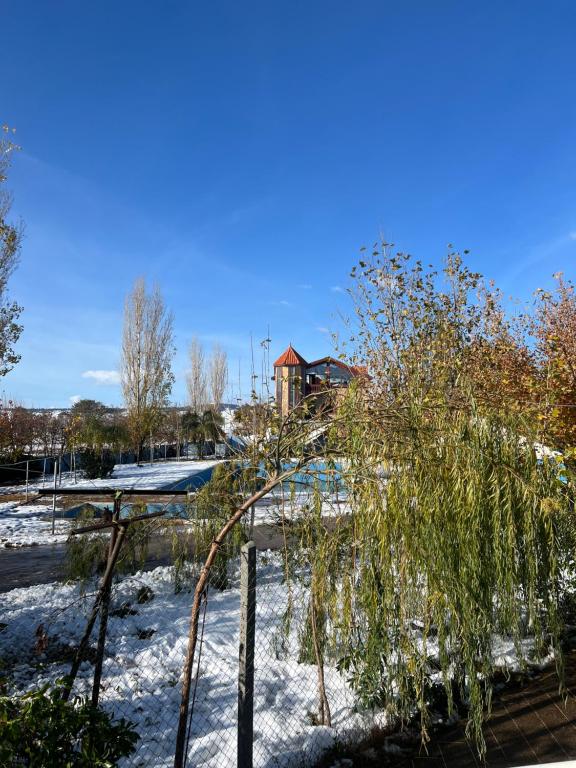 een sneeuwrijke tuin met een boom bij espace familiale in Azrou
