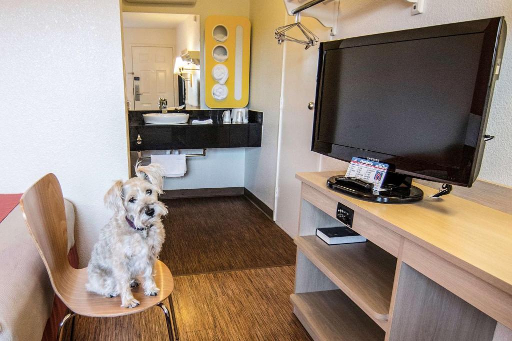 Motel 6-Coeur D'Alene, ID - Camera Doppia Con Accesso Disabili - Non Fumatori