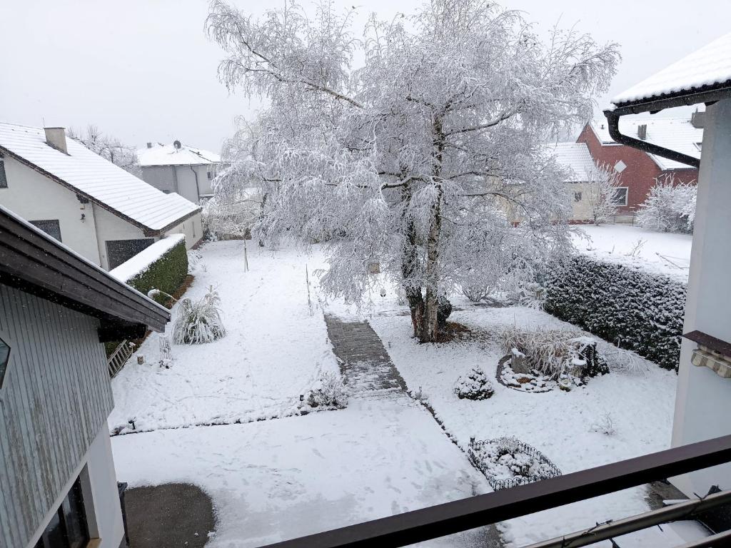 een boom in een tuin bedekt met sneeuw bij Apartman Silvia in Breitenau