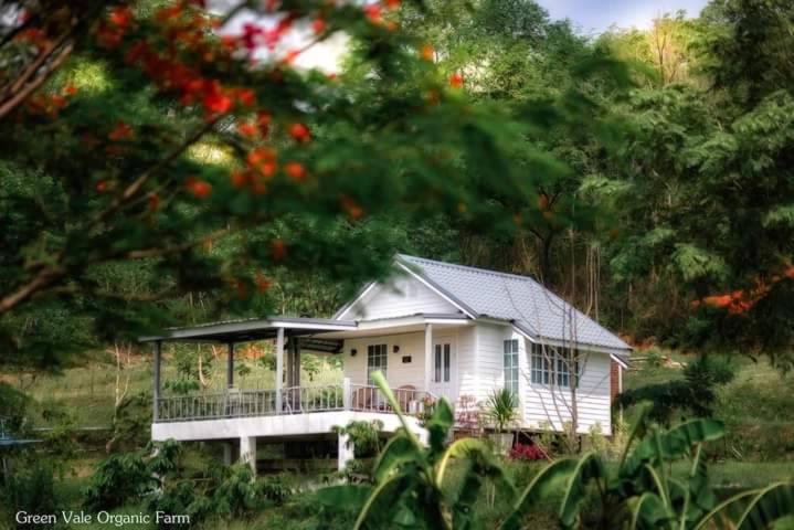 Zahrada ubytování The Green Vale B&B