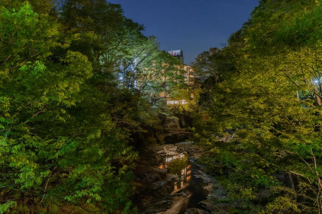 ein Fluss, der durch einen Wald mit Bäumen fließt in der Unterkunft Hotel Miyama in Chichibu