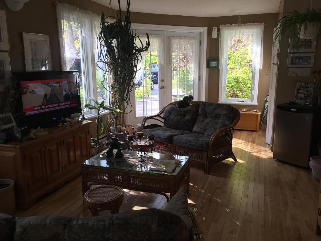 Una televisión o centro de entretenimiento en Gite du Lac Docteur