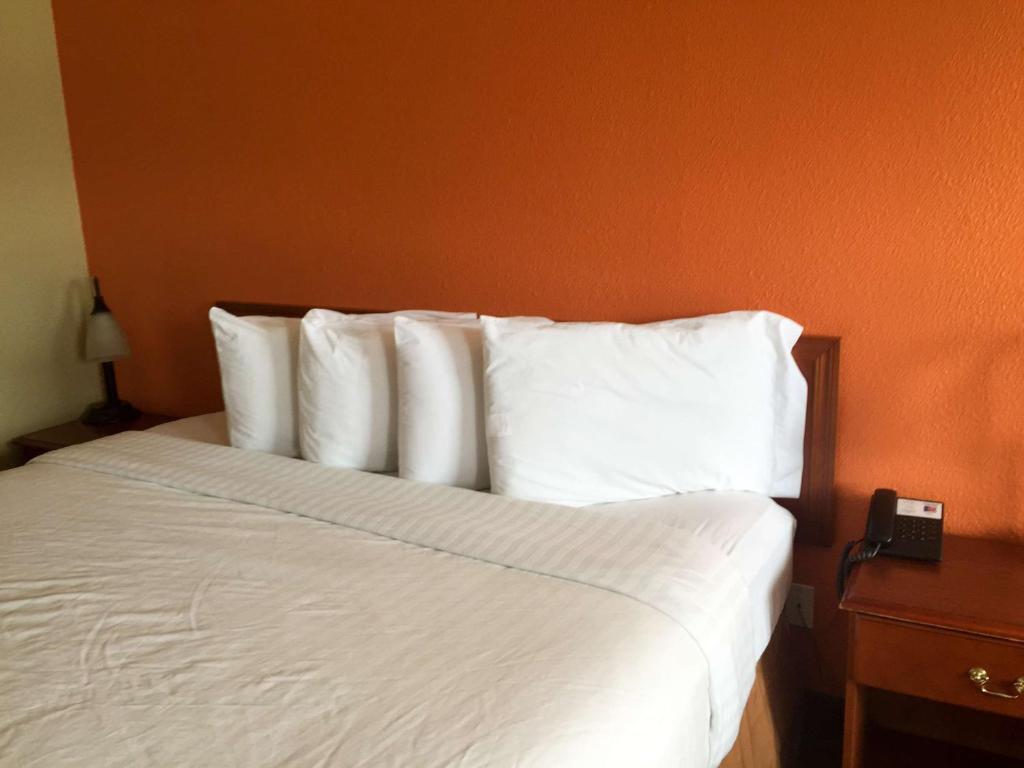 Motel 6-Brunswick, GA - Camera King - Fumatori