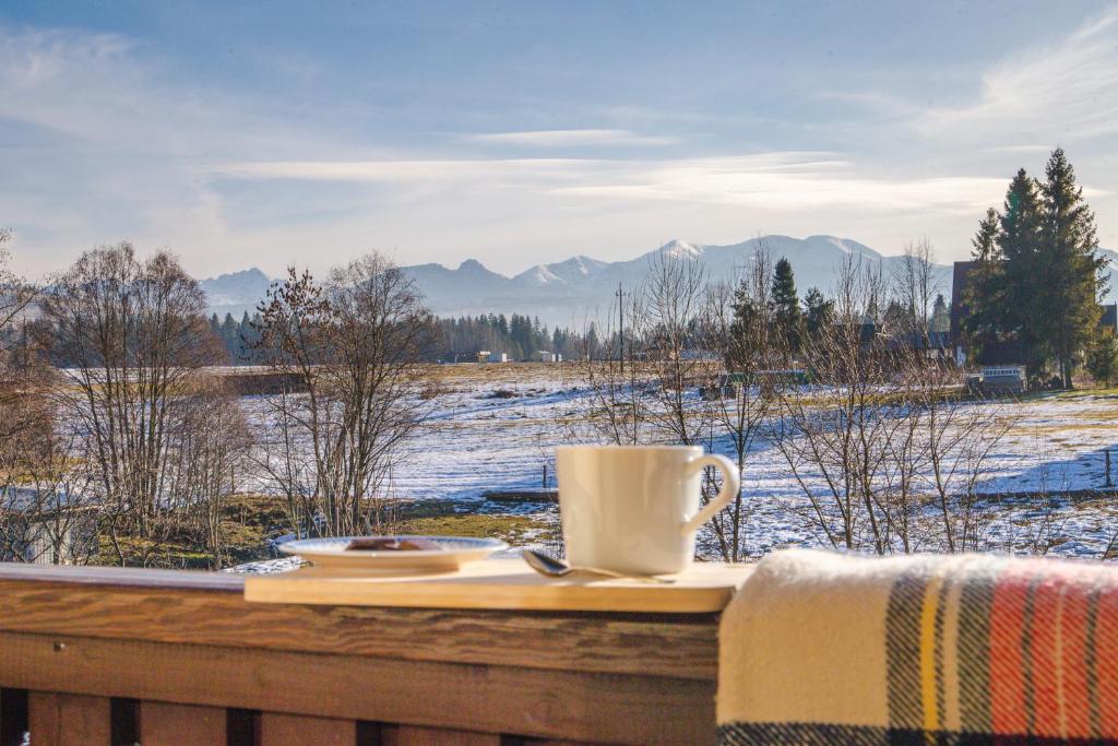 a table with a coffee cup on a balcony with a snow covered field at Apartament II Chochołów 162c in Chochołów